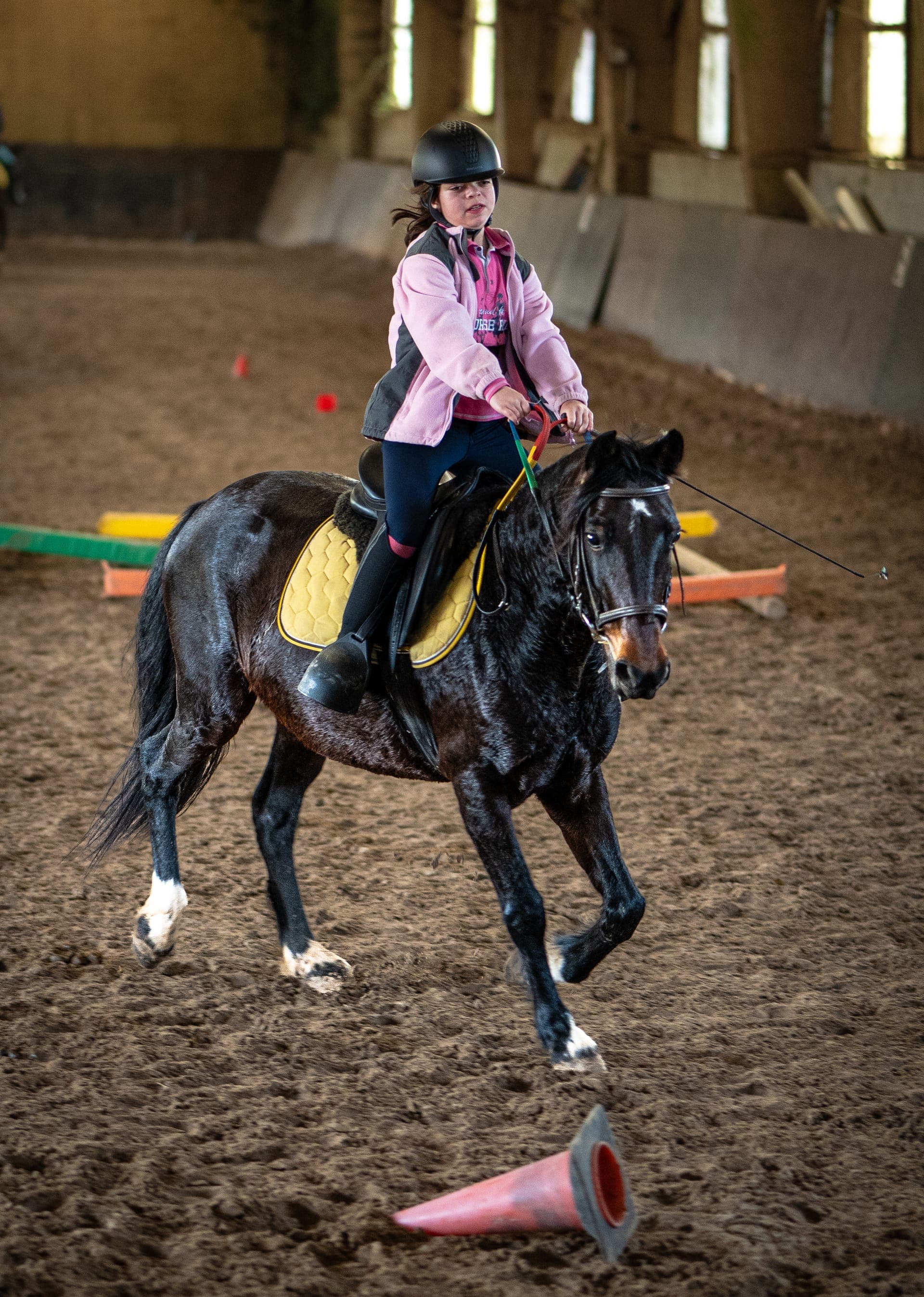 Dressage